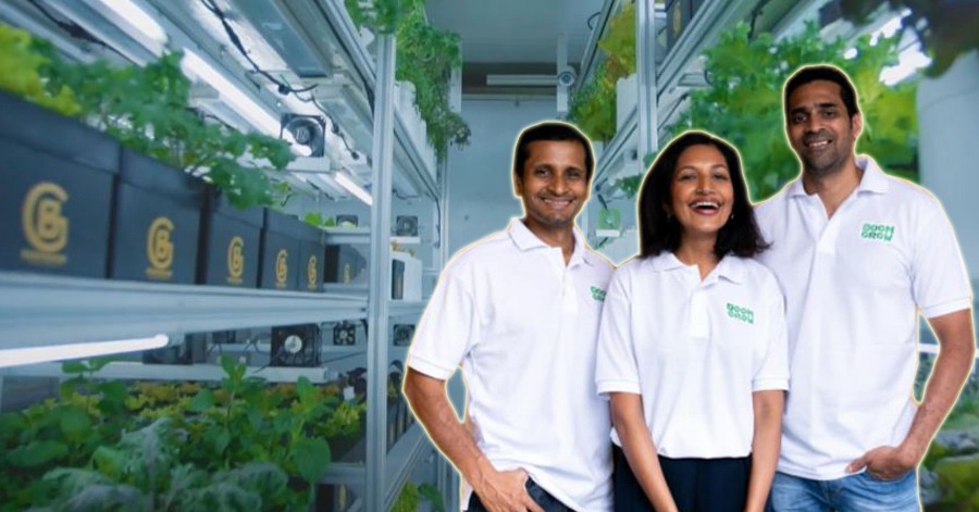 Sayur luar negara tumbuh di Ampang. Kisah tiga sekawan bina ladang sayur berteknologi AI
