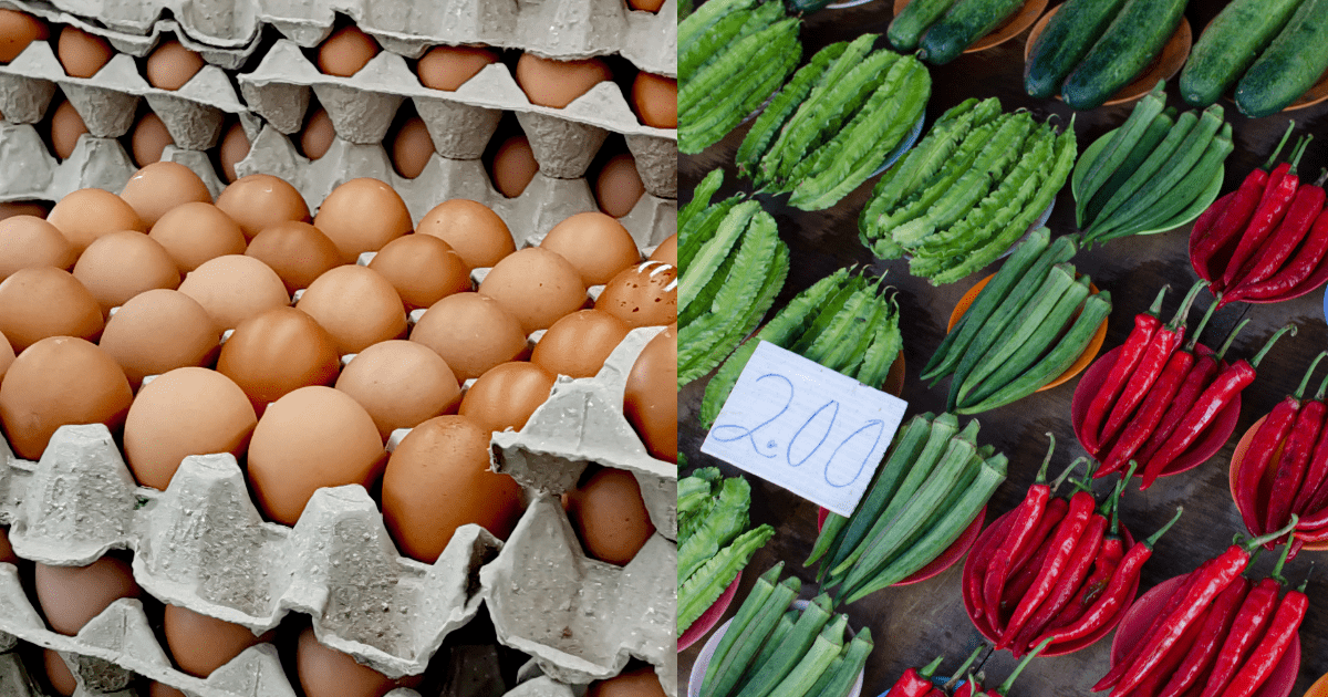 Harga telur dan sayur naik bebankan kumpulan B40 untuk dapatkan nutrisi semulajadi